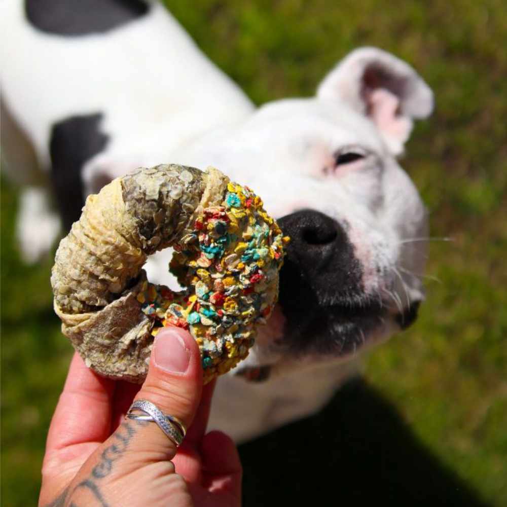Cooka’s Cookies - Balíček dobrůtek Candy Crush