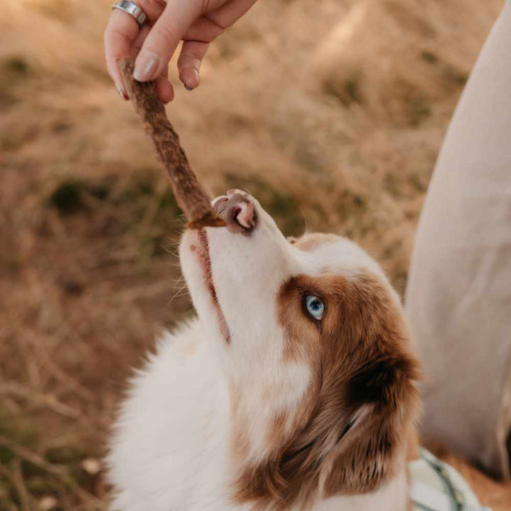 Aussie Maison - Masové stripsy Hovězí