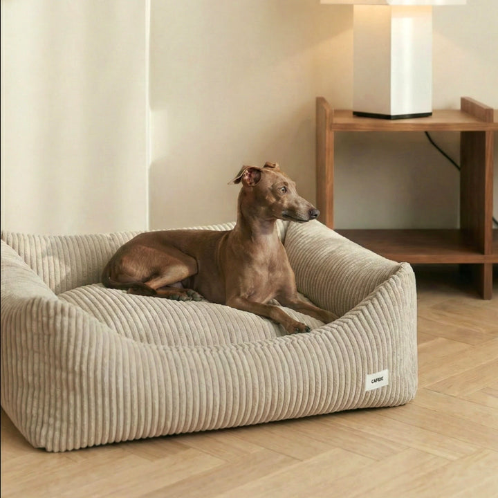 Snozy Hundebett Cord – beige