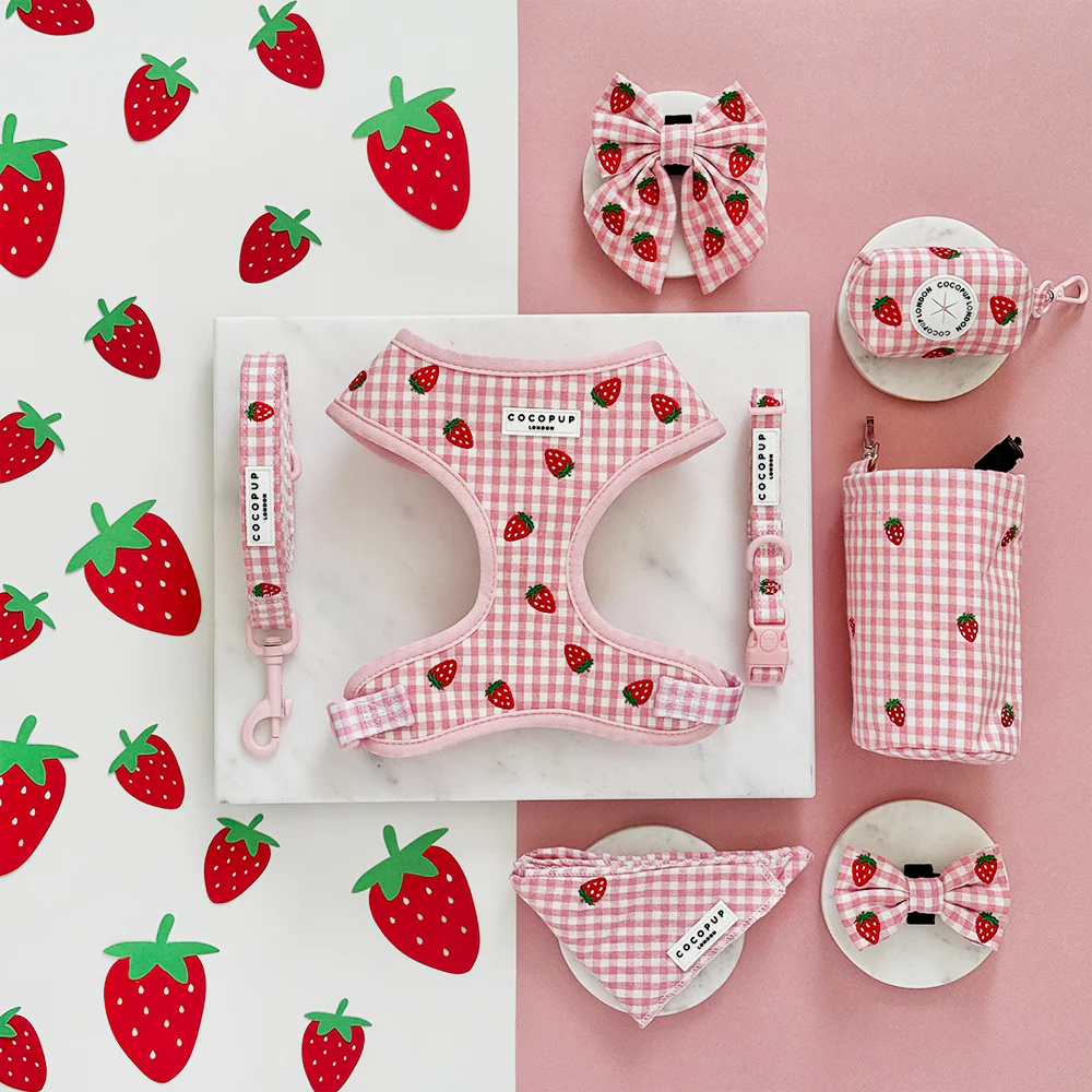 Popruh na pamlskovník CocoPup - Strawberry picnic