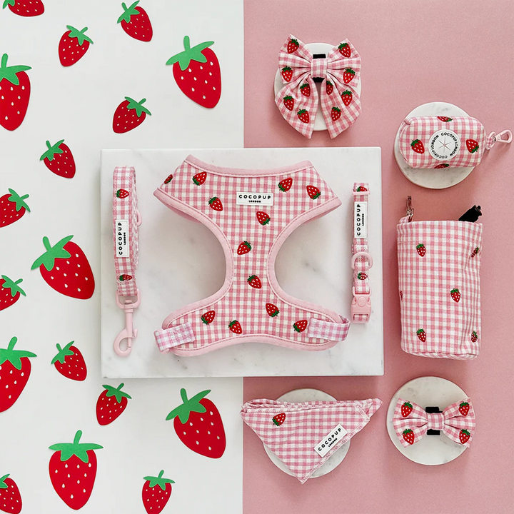 Pamlskový měšec CocoPup - Strawberry Picnic