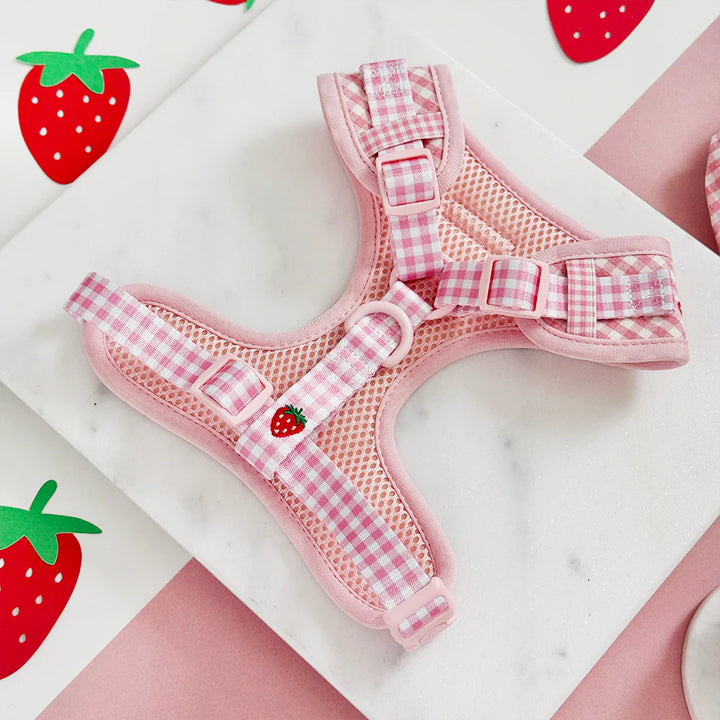 Nastavitelný postroj Cocopup - Strawberry picnic