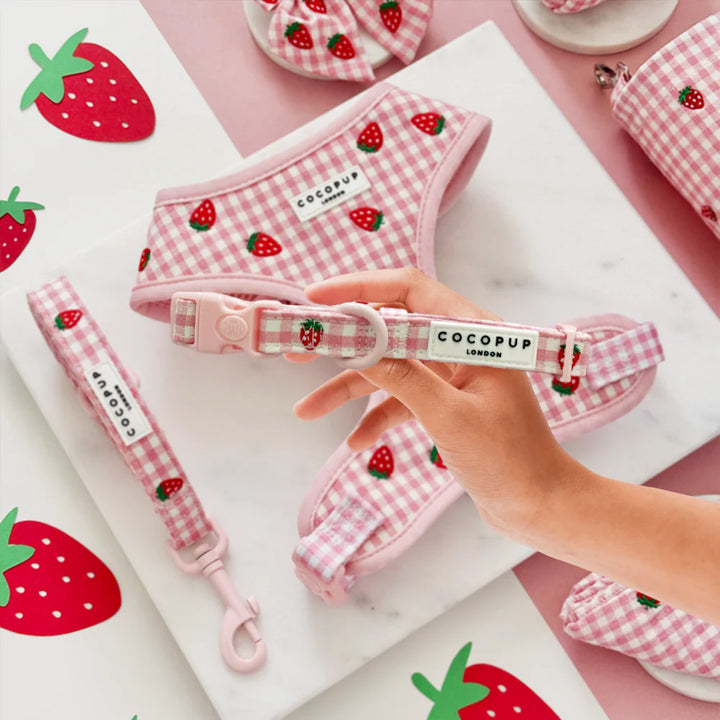 Cocopup Collar - Strawberry Picnic