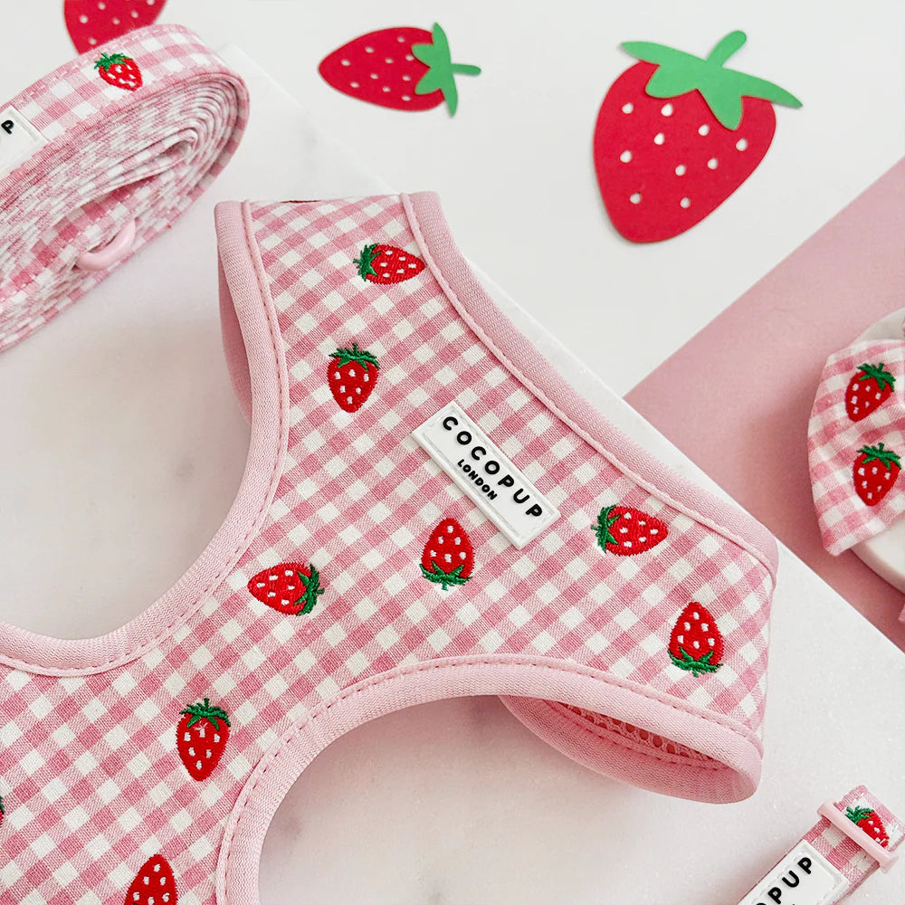Nastavitelný postroj Cocopup - Strawberry picnic