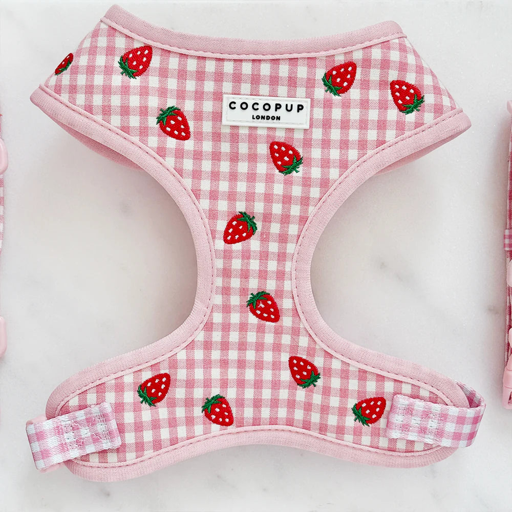 Nastavitelný postroj Cocopup - Strawberry picnic