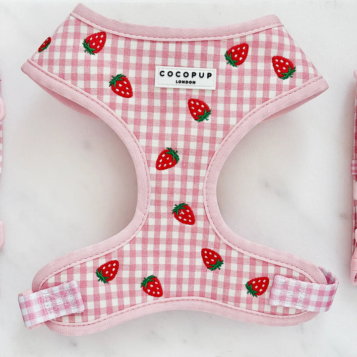 Nastavitelný postroj Cocopup - Strawberry picnic