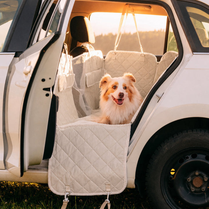 Autoset Aussie Maison - Teddy Blondie (plachta na sedačky) – Aussie Maison Plachta na sedačky auta - Teddy Blondie