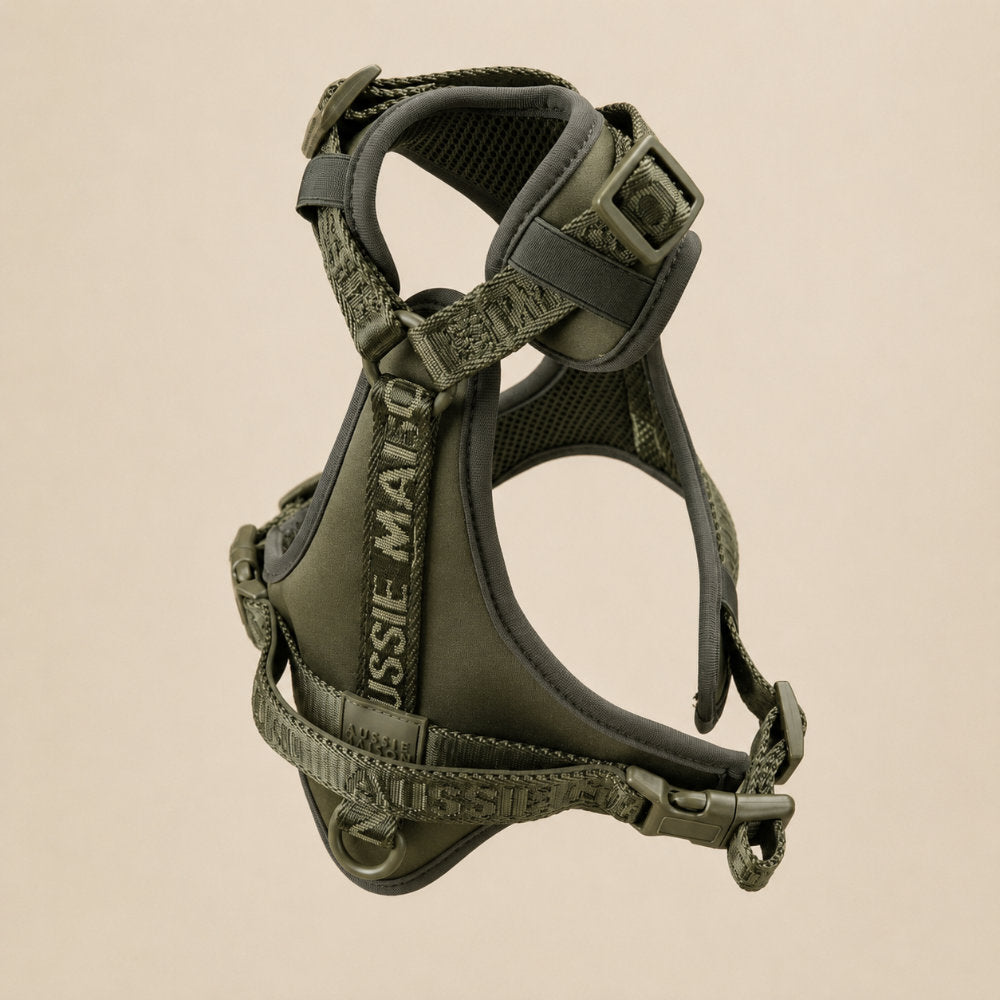 Adventure set Aussie Maison - Khaki – Adventure postroj pro psy - Khaki