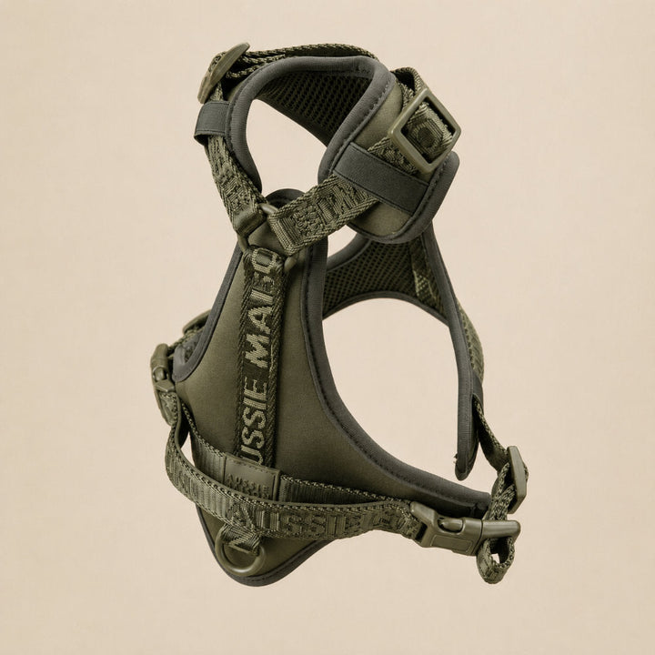 Adventure set Aussie Maison - Khaki – Adventure postroj pro psy - Khaki