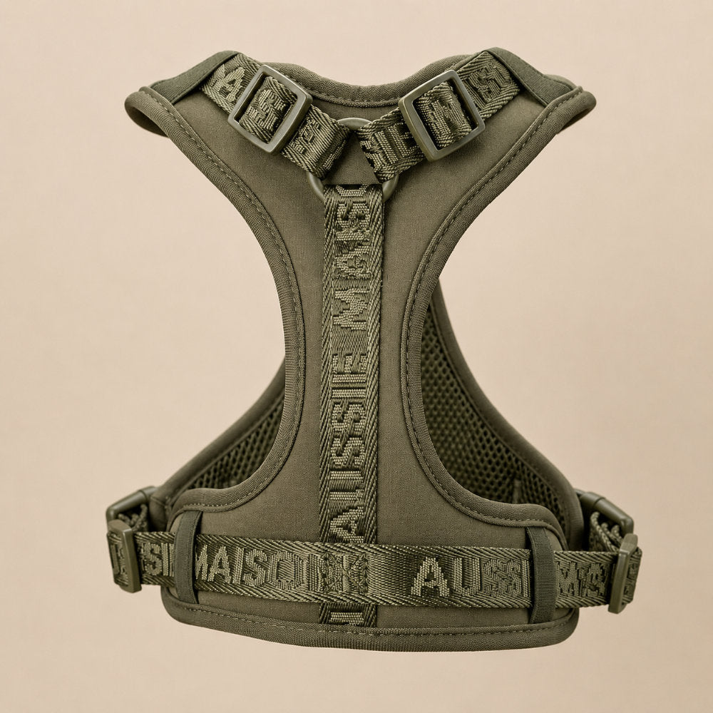 Adventure postroj Khaki