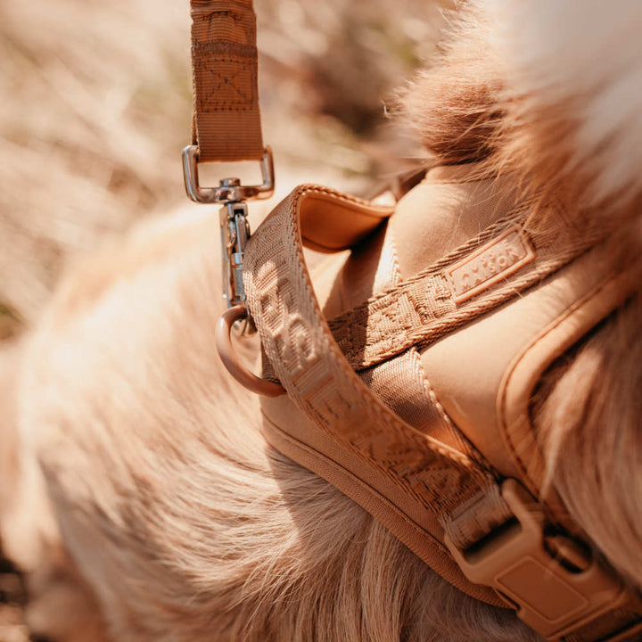 Adventure postroj Caramel