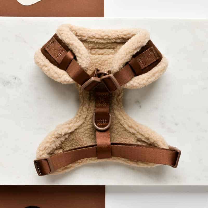 Nastavitelný postroj Cocopup - Brown Aviator