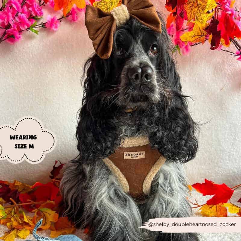 Nastavitelný postroj Cocopup - Brown Aviator