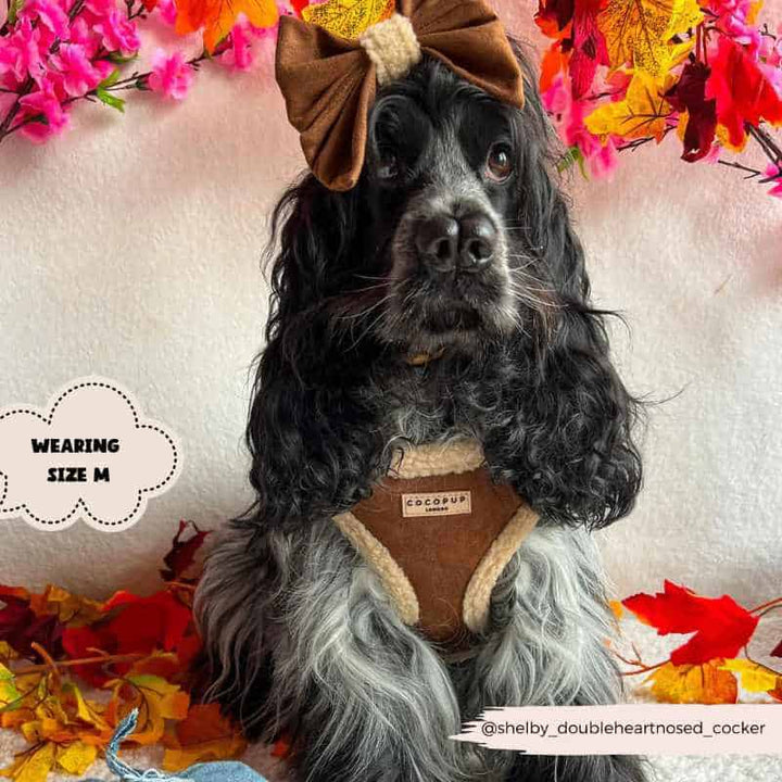 Nastavitelný postroj Cocopup - Brown Aviator