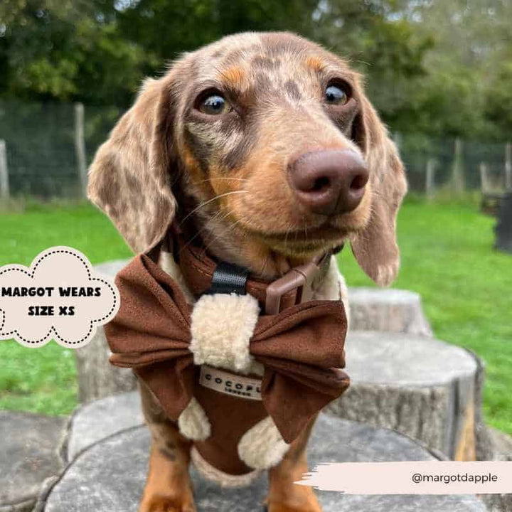 Nastavitelný postroj Cocopup - Brown Aviator