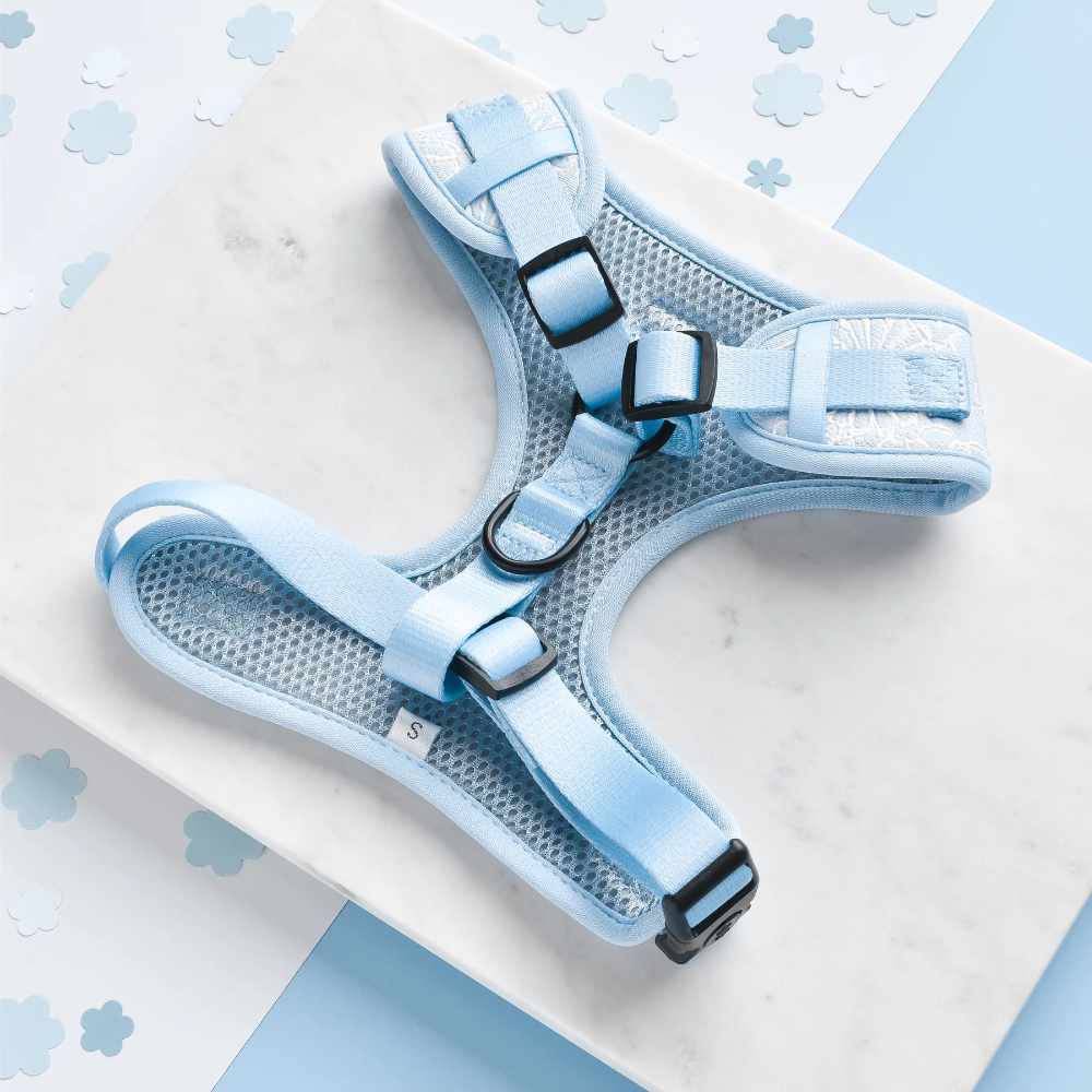 Cocopup Adjustable Harness - Baby Blue Flower