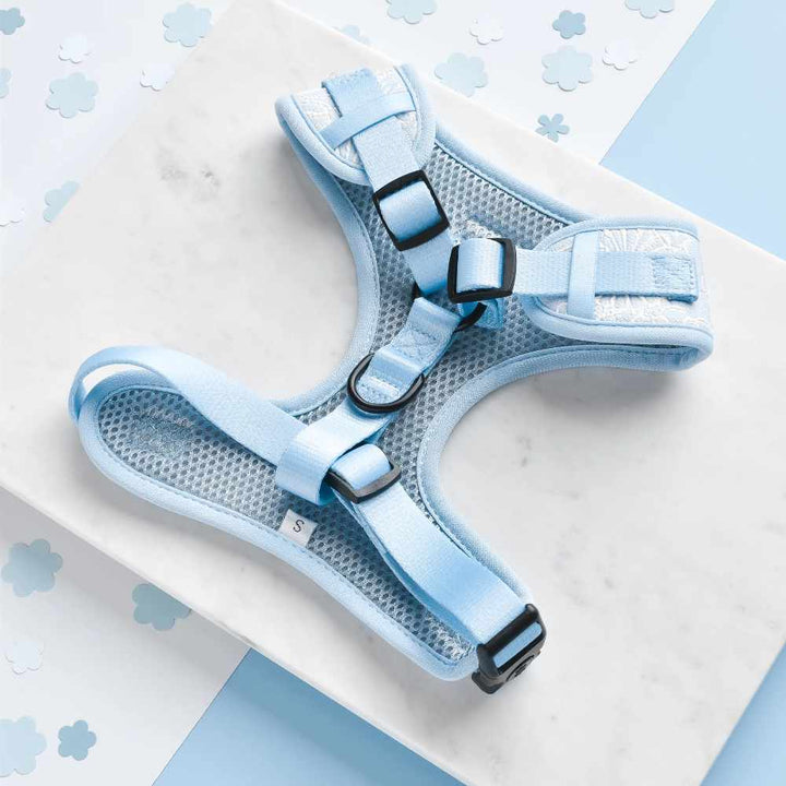 Cocopup Adjustable Harness - Baby Blue Flower