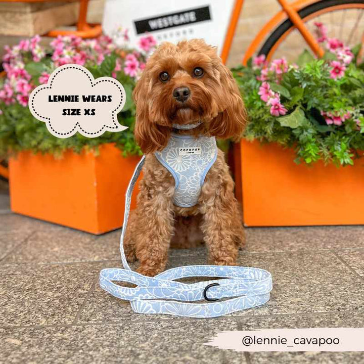 Cocopup Adjustable Harness - Baby Blue Flower