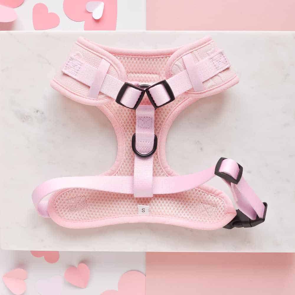 Nastavitelný postroj Cocopup - Baby pink heart