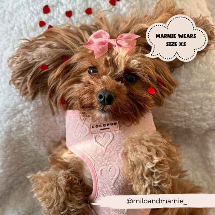 Nastavitelný postroj Cocopup - Baby pink heart