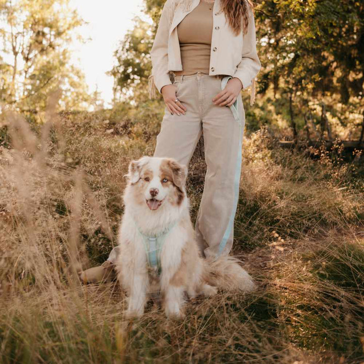 Adventure vodítko - Sage green Navajo