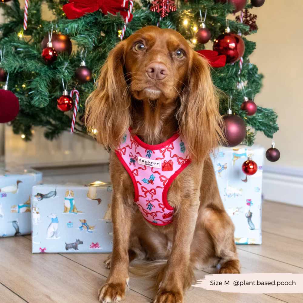 Nastavitelný postroj Cocopup - Pupmas Kisses