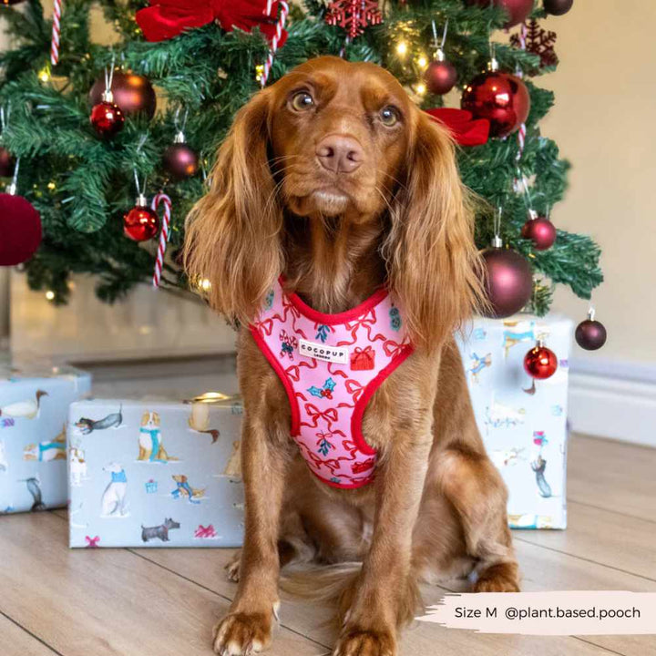 Nastavitelný postroj Cocopup - Pupmas Kisses