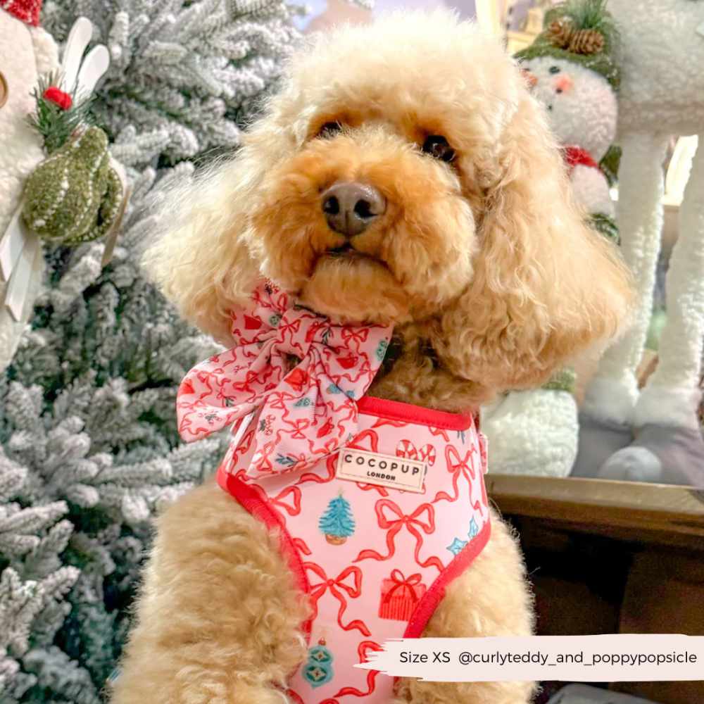 Nastavitelný postroj Cocopup - Pupmas Kisses