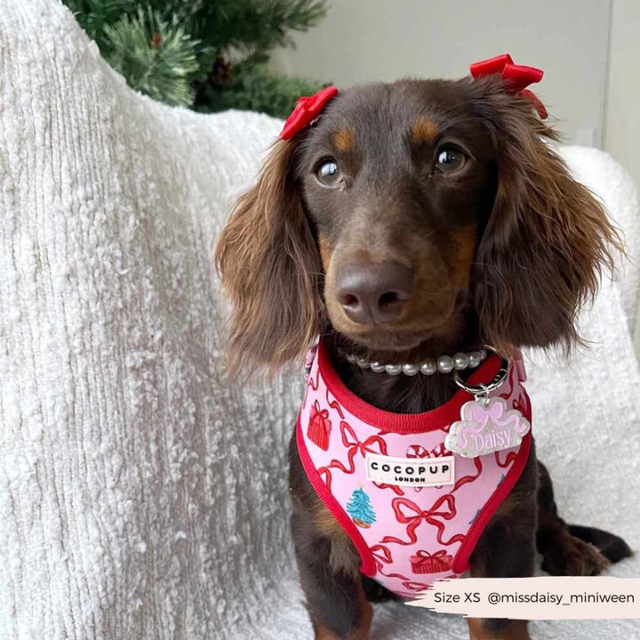 Nastavitelný postroj Cocopup - Pupmas Kisses