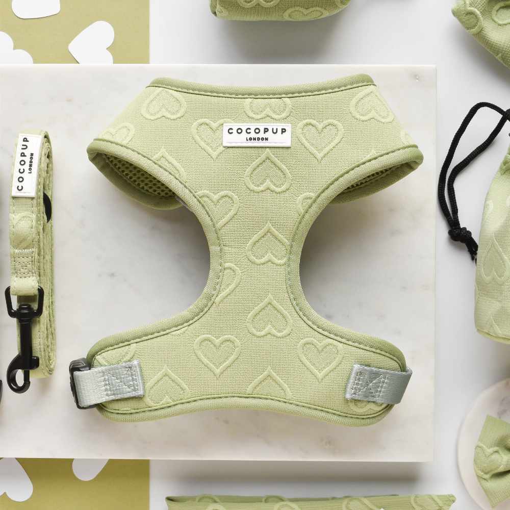 Cocopup Leash - Sage Heart