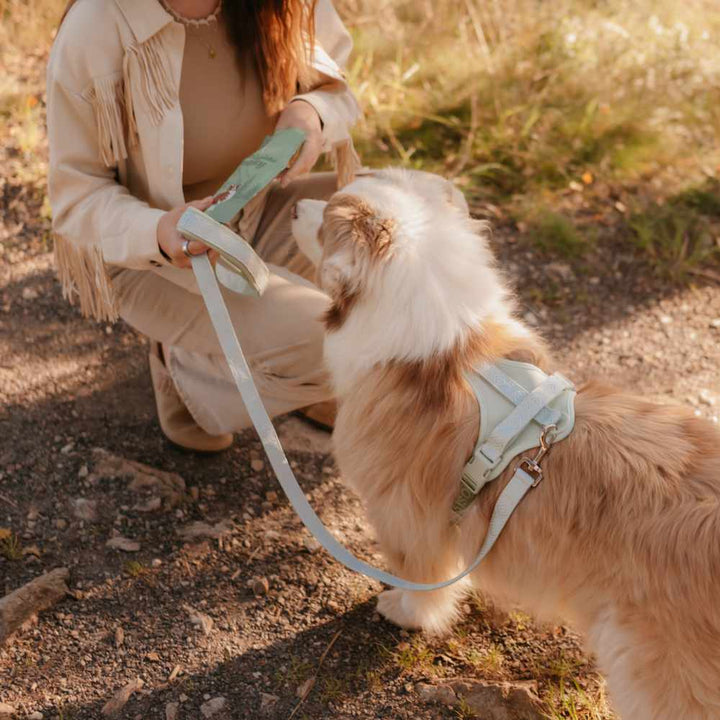 Adventure vodítko - Sage green Navajo