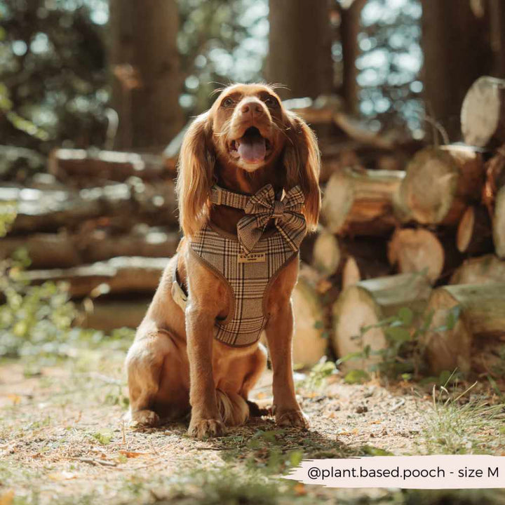 Obojek Cocopup - Pup Plaid