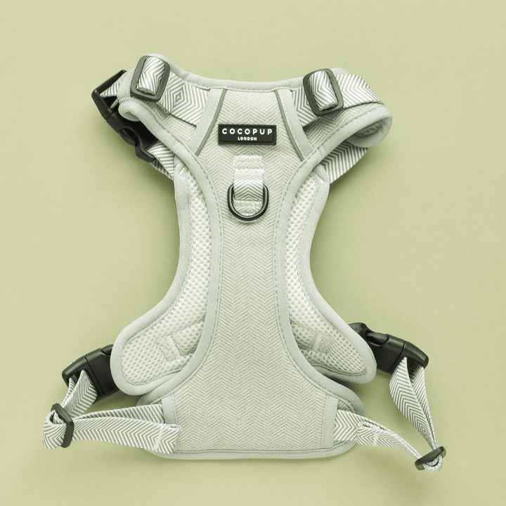 Explore harness Cocopup - Tweed Sage