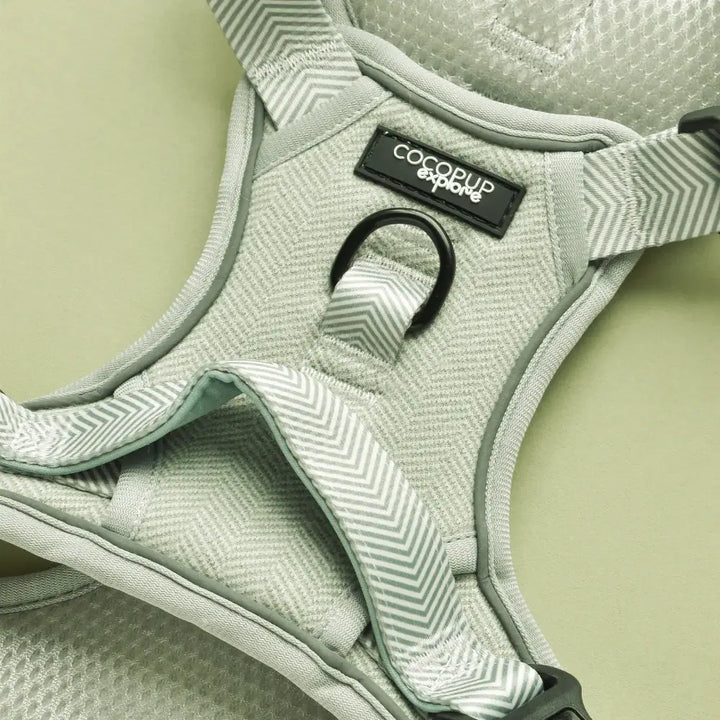 Explore harness Cocopup - Tweed Sage