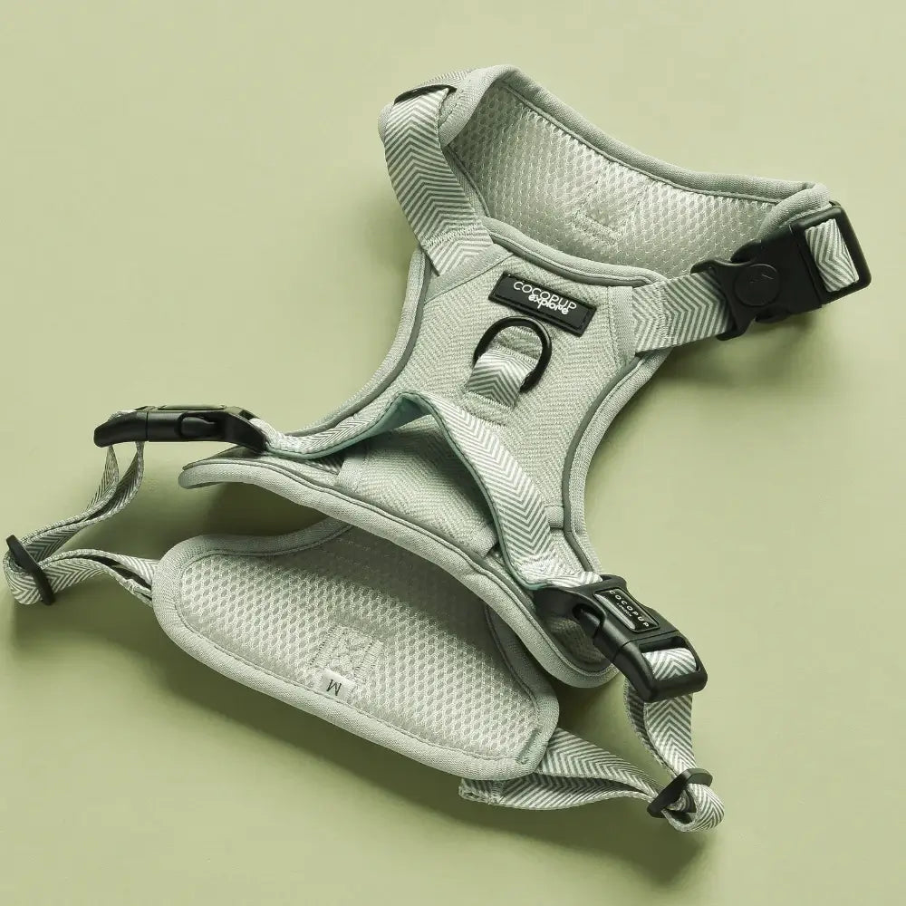 Explore harness Cocopup - Tweed Sage