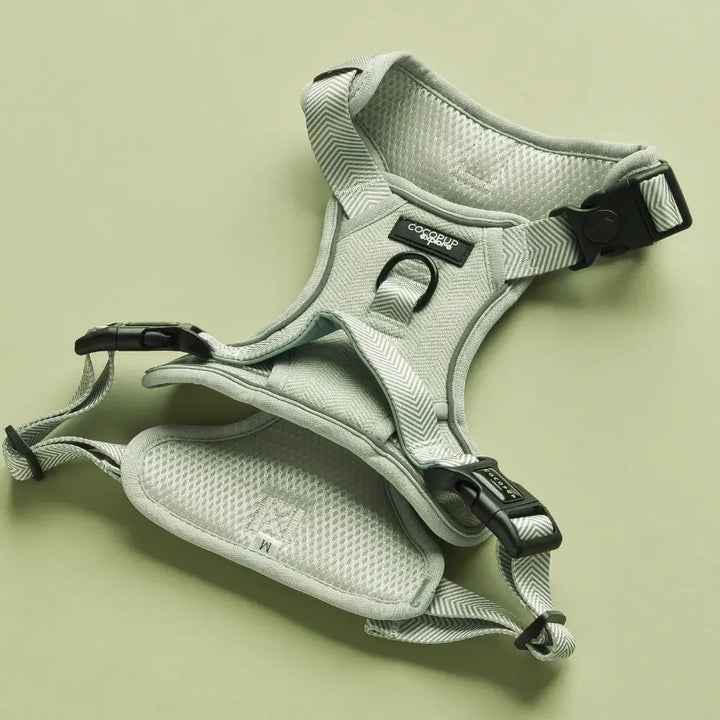 Explore harness Cocopup - Tweed Sage