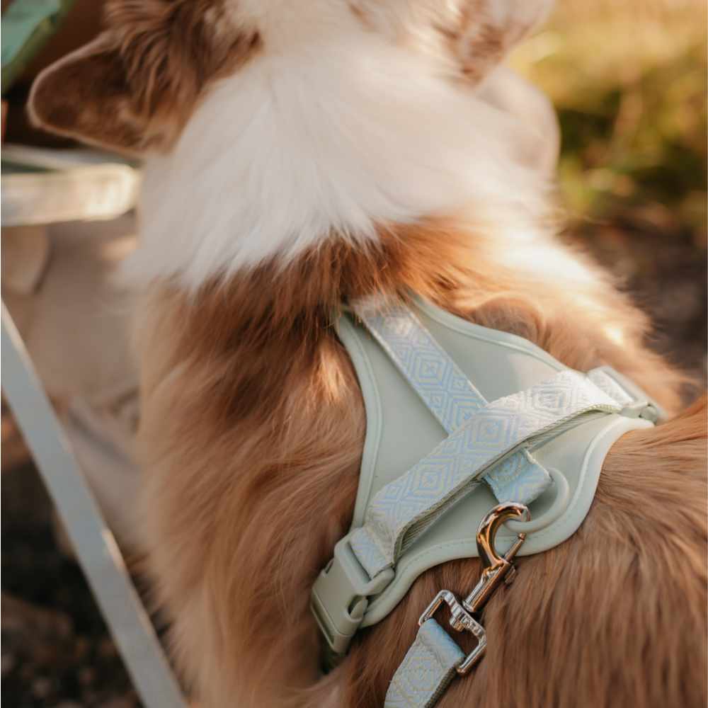 Adventure postroj Sage Green Navajo