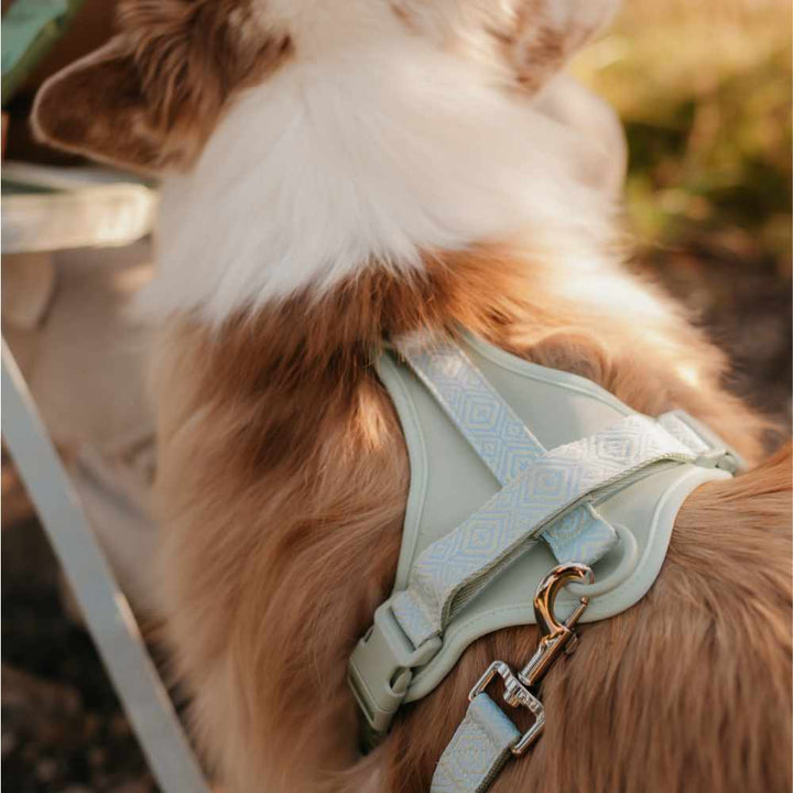 Adventure postroj Sage Green Navajo