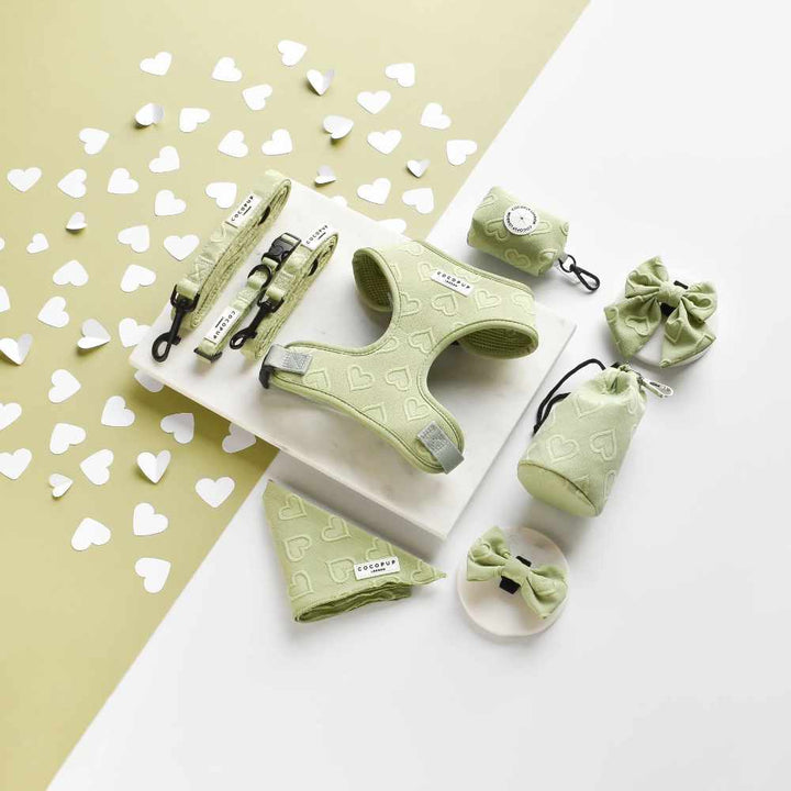 Popruh na pamlskovník CocoPup - Sage heart