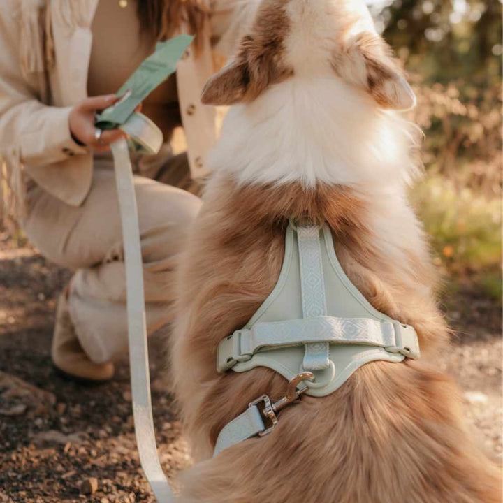 Adventure vodítko - Sage green Navajo
