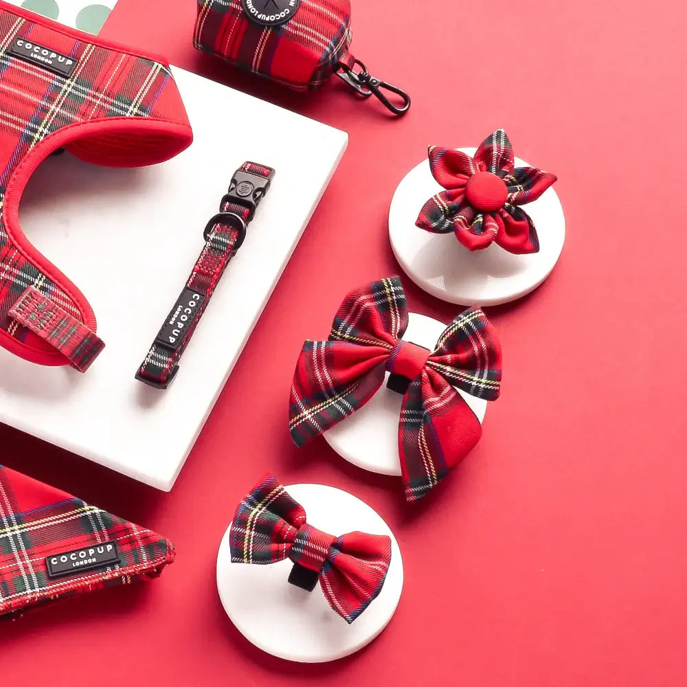 Motýlek Cocopup - Tartan Sailor