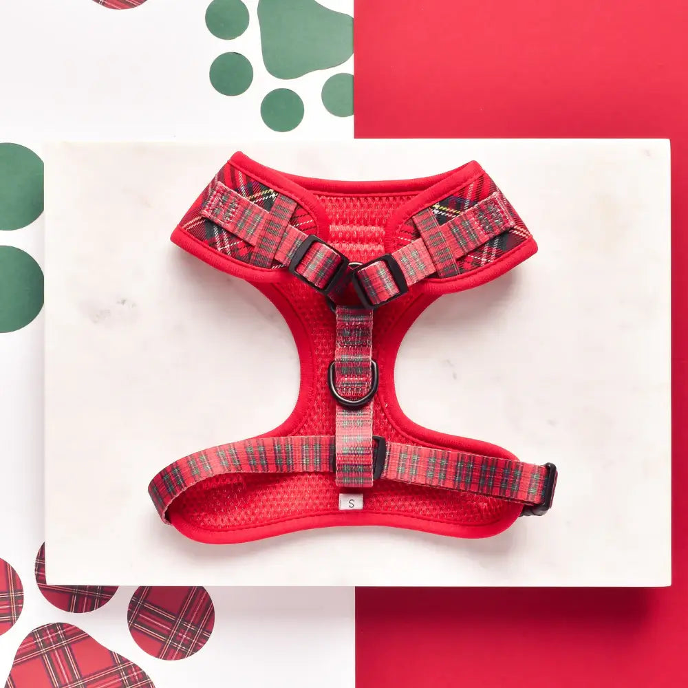 Nastavitelný postroj Cocopup - Tartan
