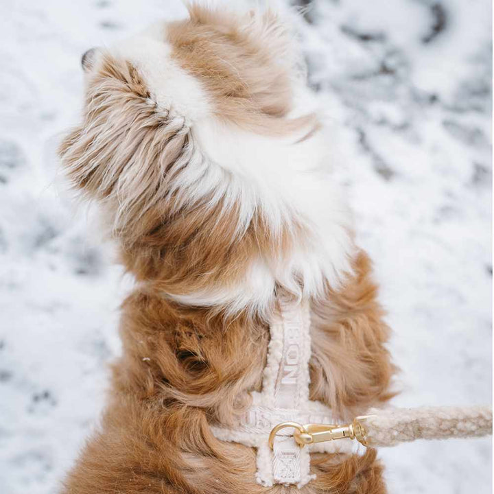 Adjustable harness - Blondie Teddy