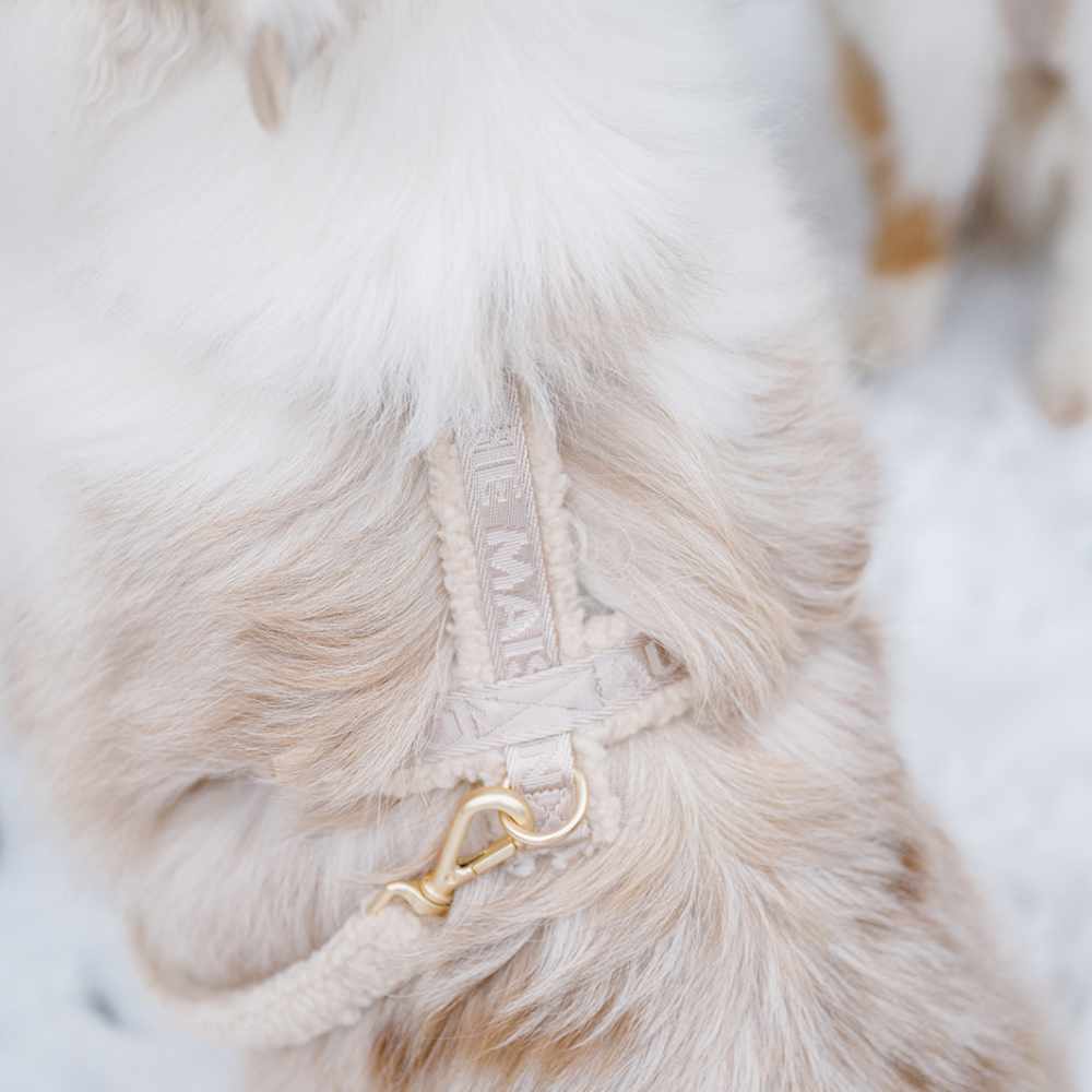 Adjustable harness - Blondie Teddy