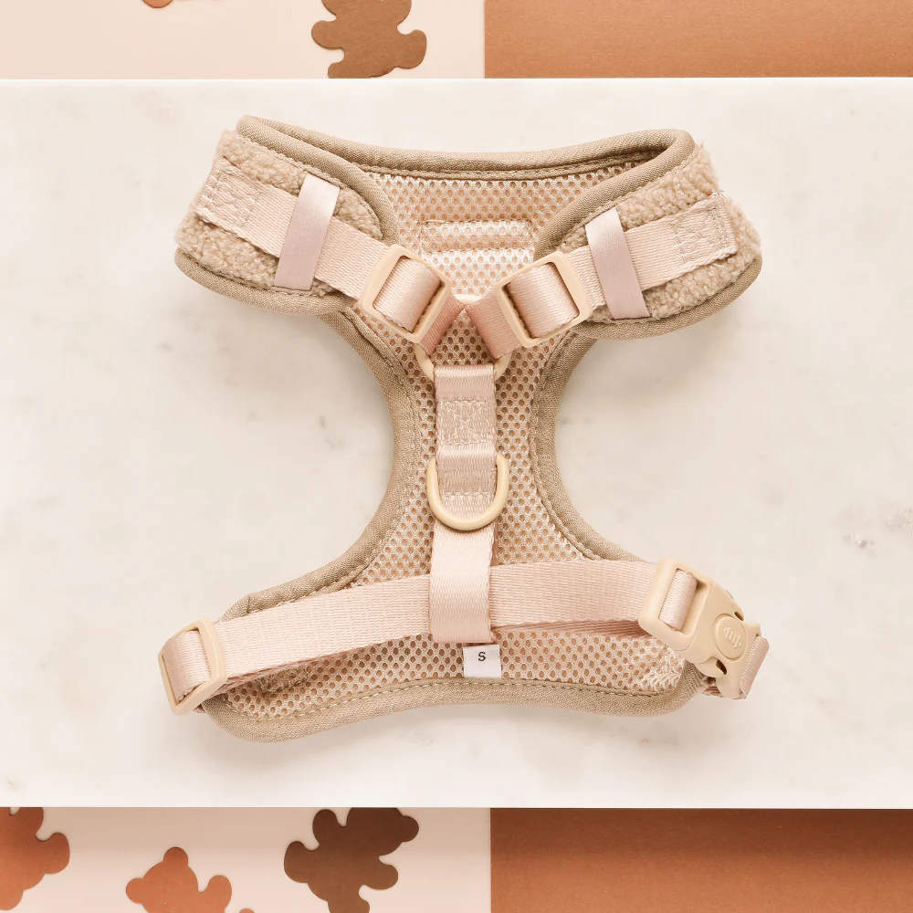 Adjustable harness - Teddy Theo