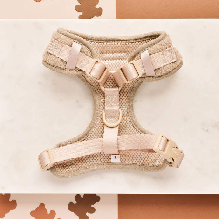 Adjustable harness - Teddy Theo