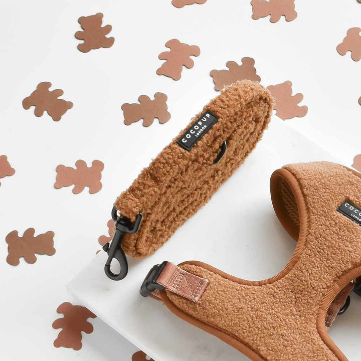 Cocopup leash - Teddy Paddington