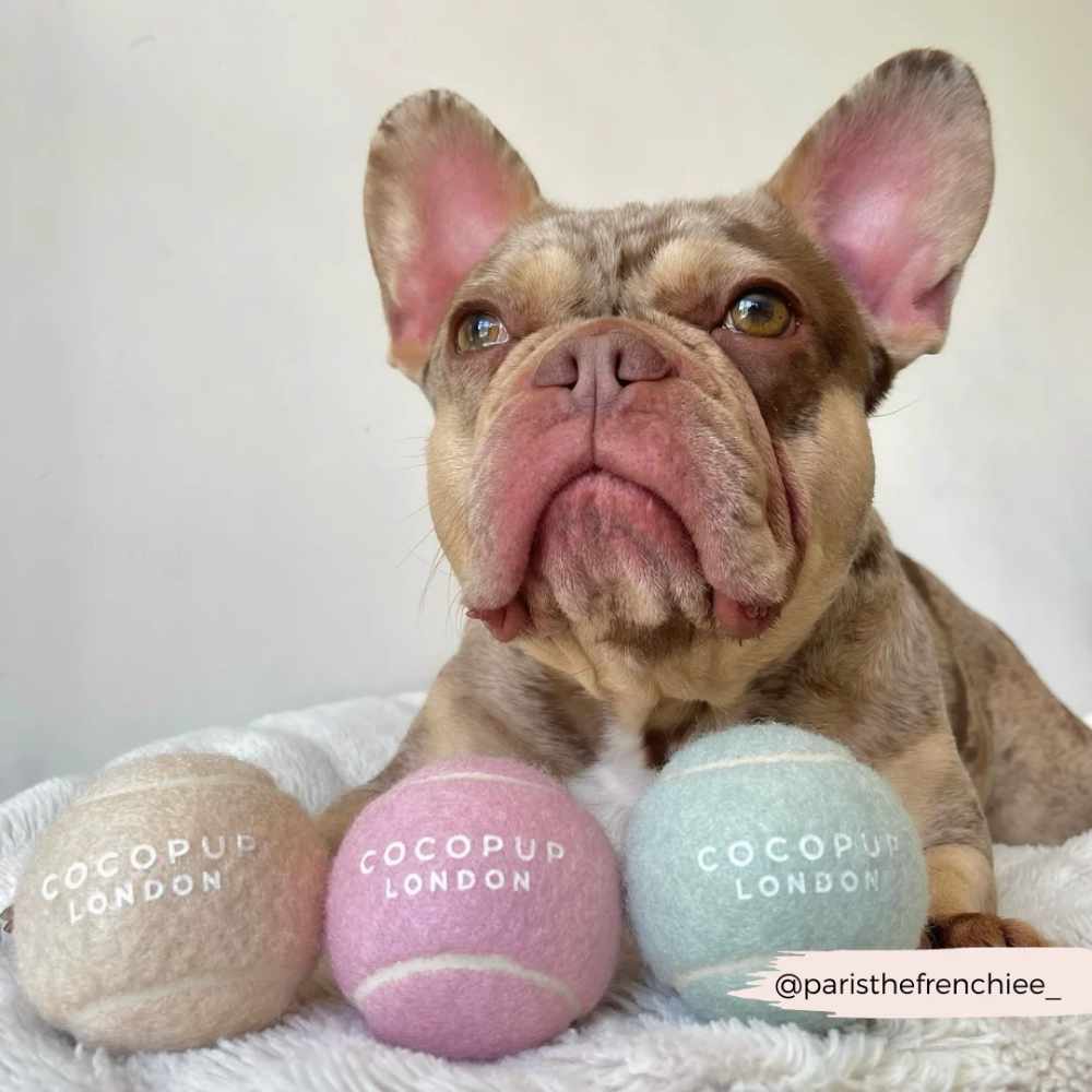 Tenisák Cocopup - Pistachio