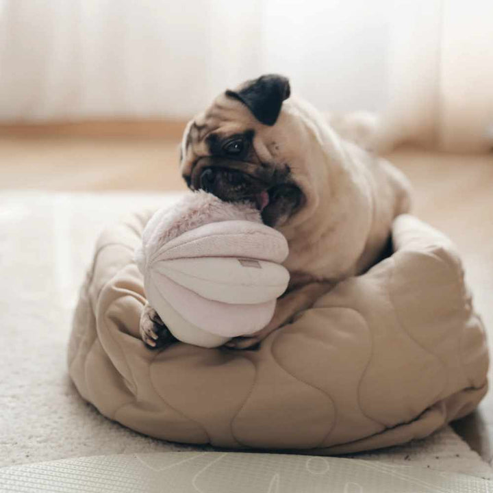 TOTO čmuchací míček - Pink