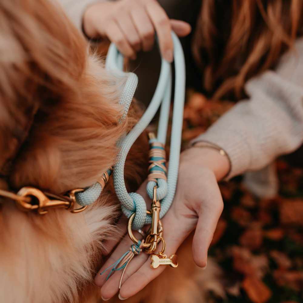 Dog leash Baby Blue